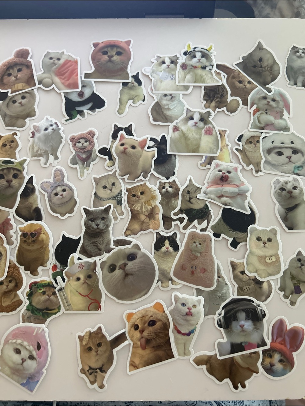 60 Pc Cute Meme Cat Sticker Pack - Waterproof Vinyl Decals - BRAND NEW
